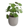Dekorációk