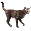 Gatti