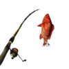 Pesca